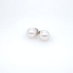 Freshwater Cultured 12mm White Pearl Stud Earrings copyright chisholm trail designs 2025