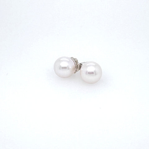 Freshwater Cultured White Pearl Stud Earrings