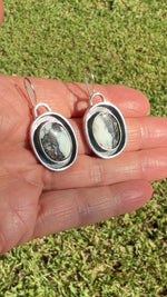 Sterling Silver White Buffalo Shadow Box Style Earrings